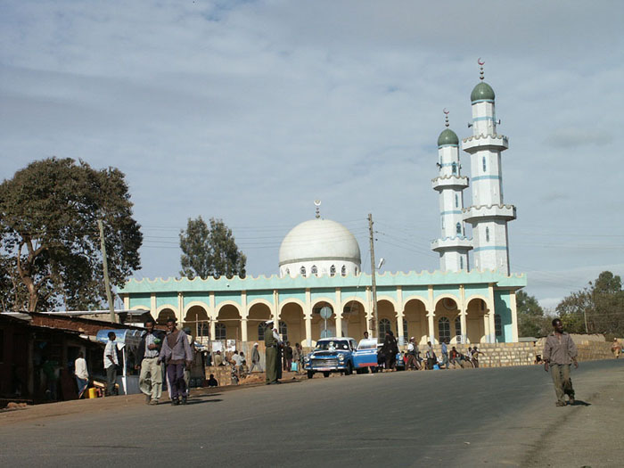 الإسلام والعربية في إثيوبيا